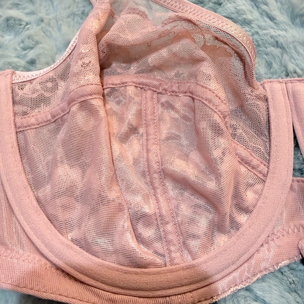 Panache Sabrina High Apex Balconette Underwire Lace Bra Dusty Pink Size 34E NWOT - Picture 8 of 8